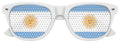 ARGENTINA FLAG World Cup Party Sunglasses